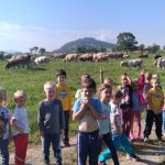 phoca_thumb_m_u mlnku 1 Fotogalerie